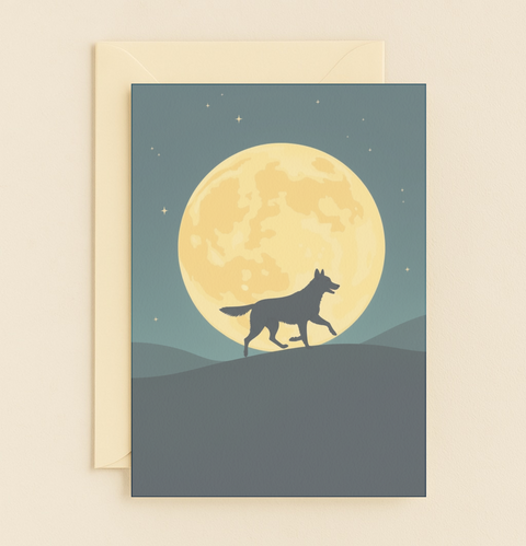 undefined product image