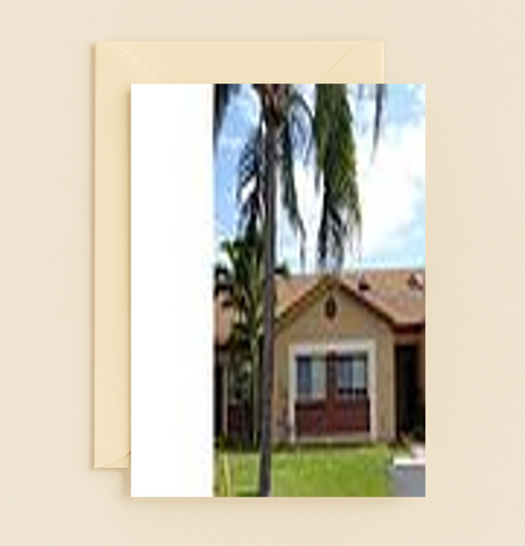 Funny Birthday Card Palm Tree Illustration Palm-fect Pun - Front