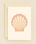 Seashell Greeting Card Illustrated Coastal Design - Front