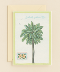 undefined product image