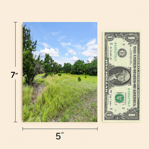 Funny Birthday Card Big Sky Pun Illustrated Nature Scene - Size