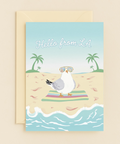 Funny Beach Greeting Card Seagull with Sunglasses - Front