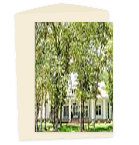 Funny Birthday Card Unbe-Leaf-Able Tree Pun Illustrated - Front