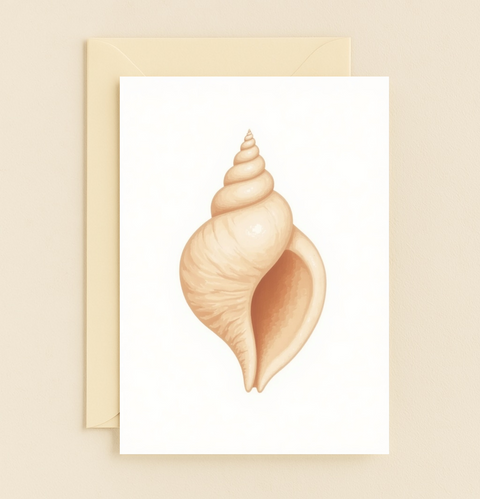 Seashell Illustration Greeting Card Modern Design - Front