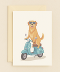 undefined product image