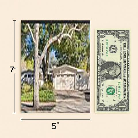 Funny Birthday Card Illustrated Banana Bunch Pun - Size