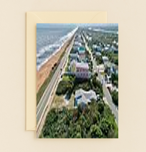 Thank You Card Funny Big Dill Pickle Pun Illustrated - Front