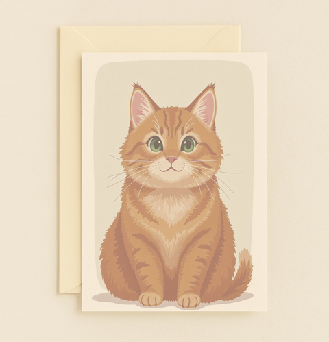 undefined product image