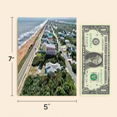 Thank You Card Funny Big Dill Pickle Pun Illustrated - Size