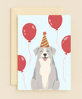 Funny Birthday Greeting Card Cute Dog in Party Hat - Front