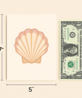Seashell Greeting Card Illustrated Coastal Design - Size
