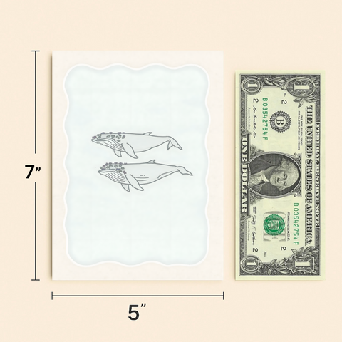 Whale Greeting Card with Floral Accents - Modern Design - Size