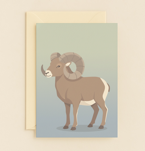 undefined product image