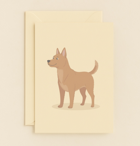 undefined product image