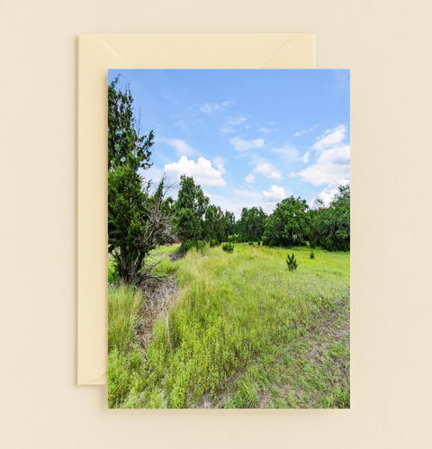 Funny Birthday Card Big Sky Pun Illustrated Nature Scene - Front