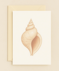 undefined product image