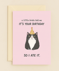 cat ate your birthday card