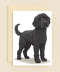 Funny Birthday Card Shaggy Black Dog Illustration - Front