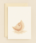 undefined product image