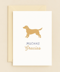 golden dog thank you card