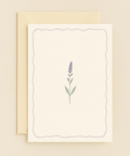 lavender simplicity greeting card