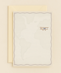 vintage biplane travel card
